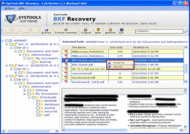 BKF Repair Software screenshot